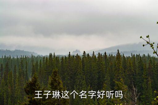 王子琳這個名字好聽嗎