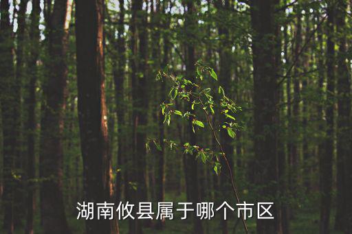 湖南攸縣屬于哪個(gè)市區(qū)