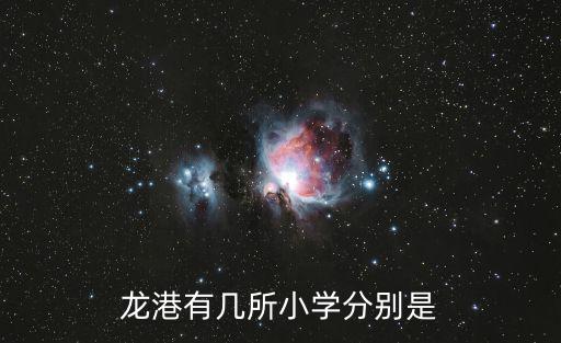 龍港四小，龍港有幾所小學分別是