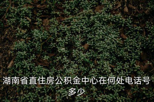 湖南省公積金中心，湖南住房公積金查詢(xún)