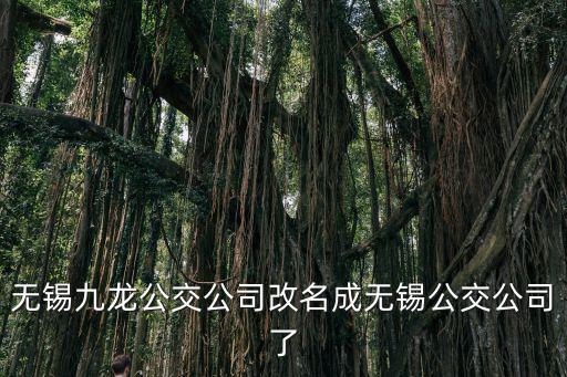 無錫九龍公交公司改名成無錫公交公司了