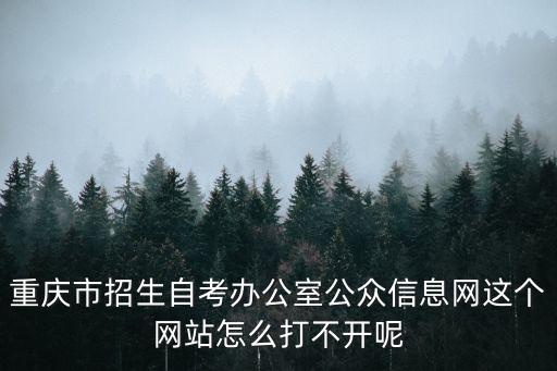 重慶市招生自考辦公室公眾信息網這個網站怎么打不開呢