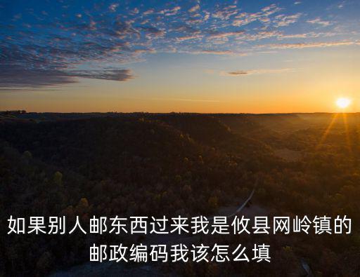 如果別人郵東西過來我是攸縣網嶺鎮的郵政編碼我該怎么填