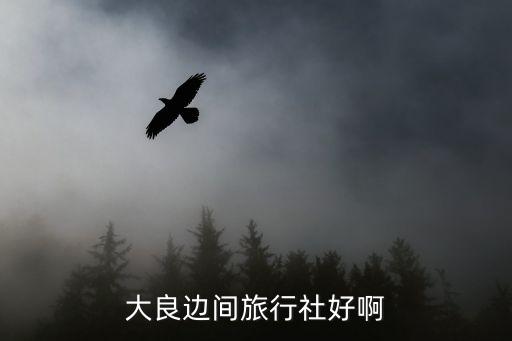 順之旅旅行社官網，大良邊間旅行社好啊