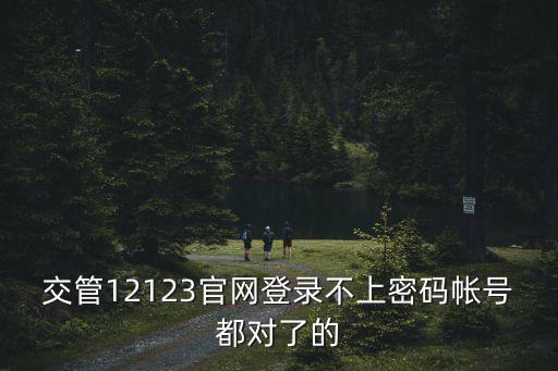 交管12123官網登錄不上密碼帳號都對了的
