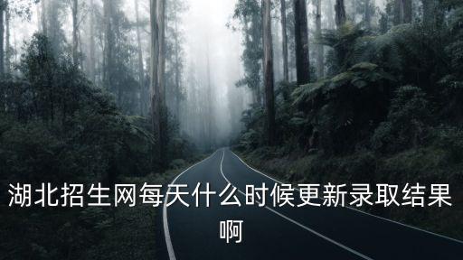 湖北招生網(wǎng)每天什么時(shí)候更新錄取結(jié)果啊