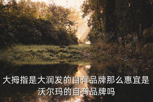 大拇指是大潤發的自有品牌那么惠宜是沃爾瑪的自有品牌嗎