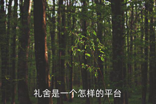 禮舍是一個怎樣的平臺