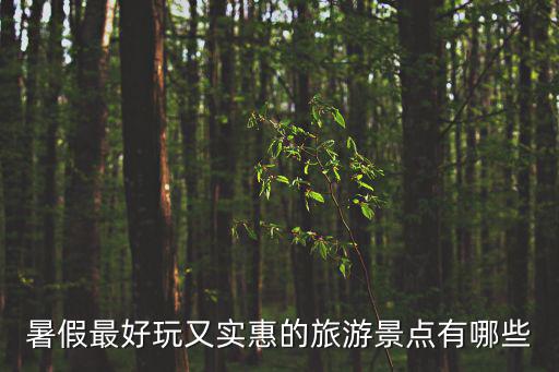 暑假最好玩又實(shí)惠的旅游景點(diǎn)有哪些