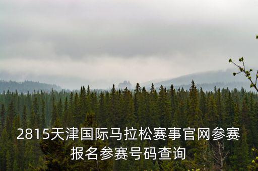 中國馬拉松官網，7國際馬拉松在中國蘭州舉行歡迎各地的朋友來我們蘭州