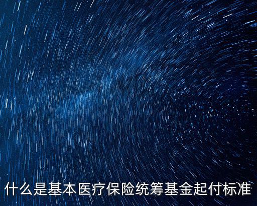 什么是基本醫療保險統籌基金起付標準