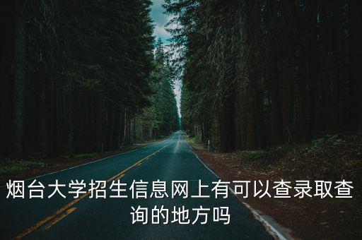 煙臺大學招生信息網上有可以查錄取查詢的地方嗎