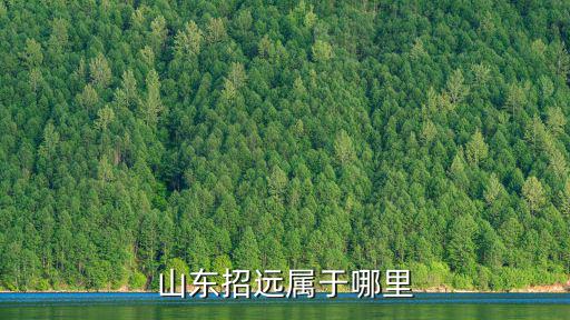山東招遠(yuǎn)屬于哪里