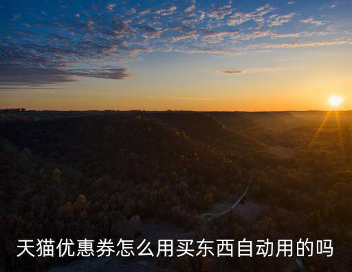 天貓優惠券怎么使用，天貓店鋪的優惠券怎么使用