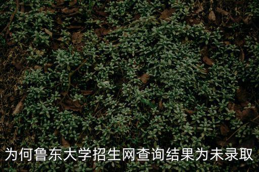 魯東大學招生網，為何魯東大學招生網查詢結果為未錄取