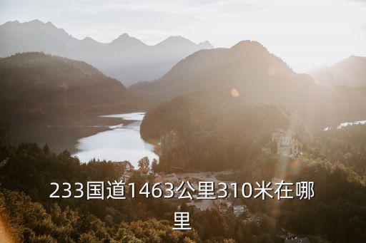233國道1463公里310米在哪里