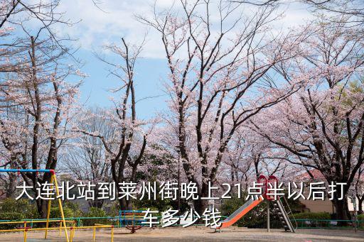 大連北站到萊州街晚上21點半以后打車多少錢