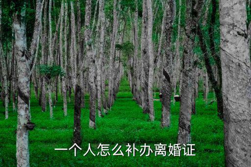 一個人怎么補(bǔ)辦離婚證，離婚證丟失一個人怎么補(bǔ)辦