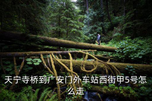 天寧寺橋到廣安門外車站西街甲5號怎么走