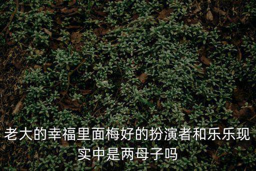 老大的幸福里面梅好的扮演者和樂樂現實中是兩母子嗎