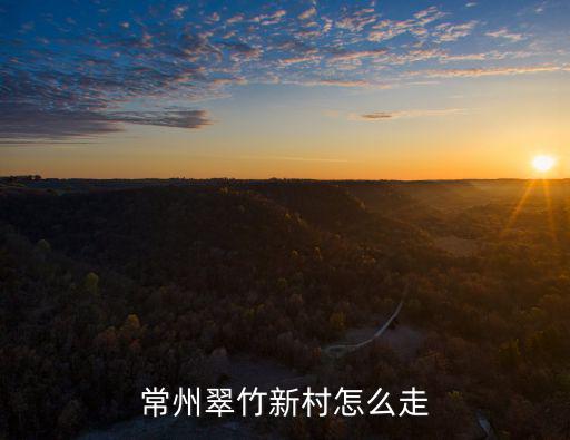 常州翠竹新村怎么走
