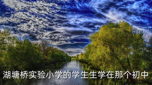 湖塘橋實驗小學，湖塘橋實驗小學的學生生學在那個初中
