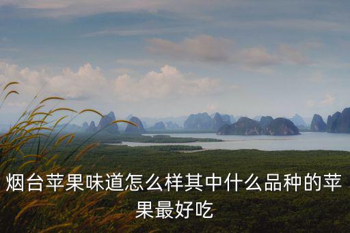 煙臺蘋果味道怎么樣其中什么品種的蘋果最好吃