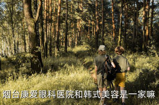 煙臺康愛眼科醫院和韓式美容是一家嘛