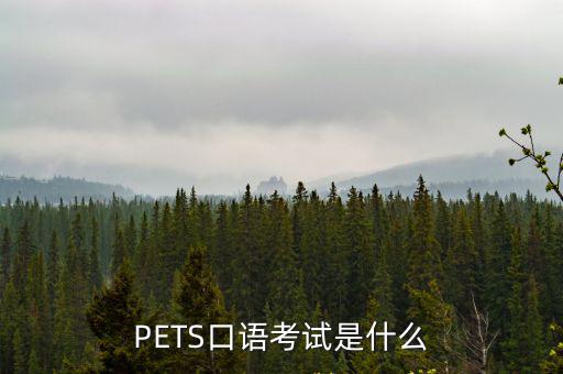 PETS口語考試是什么