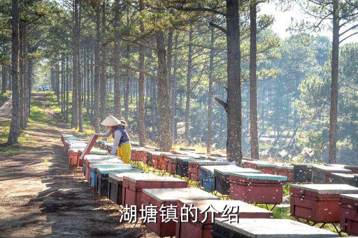 湖塘鎮的介紹
