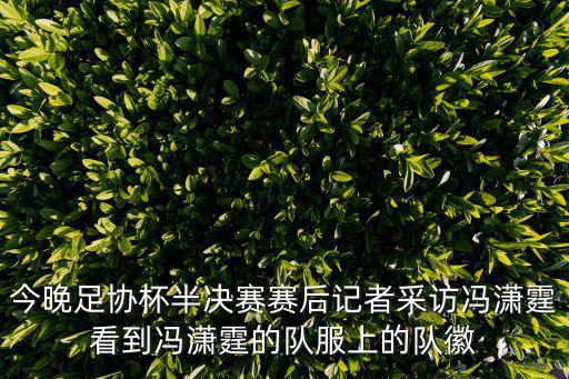 今晚足協杯半決賽賽后記者采訪馮瀟霆看到馮瀟霆的隊服上的隊徽