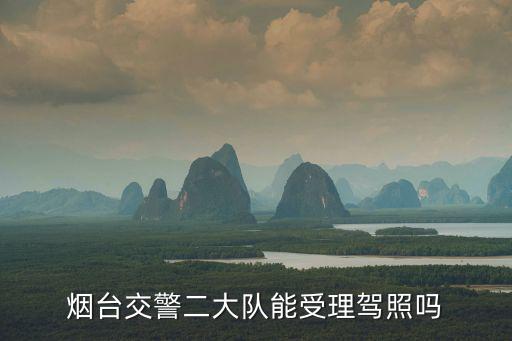煙臺交警二大隊能受理駕照嗎