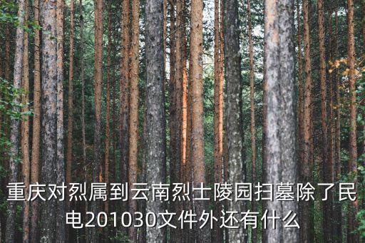 重慶對(duì)烈屬到云南烈士陵園掃墓除了民電201030文件外還有什么