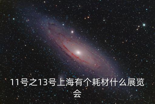 11號之13號上海有個耗材什么展覽會