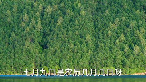 7月9日，七月九日是農歷幾月幾日呀