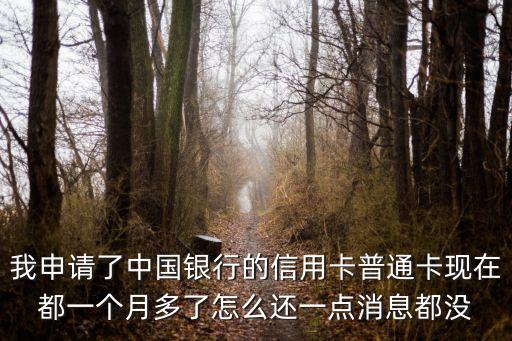 我申請了中國銀行的信用卡普通卡現(xiàn)在都一個月多了怎么還一點消息都沒