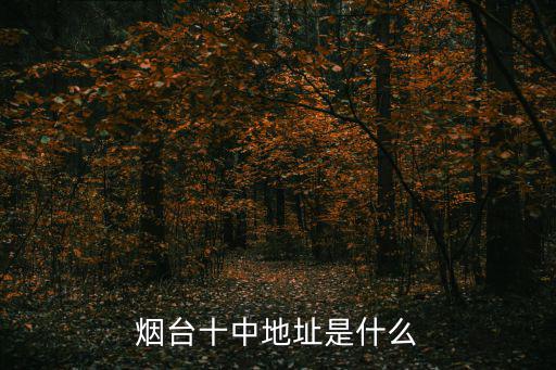 煙臺十中地址是什么