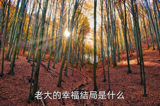 老大的幸福結局是什么