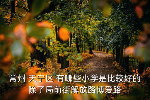 常州 天寧區 有哪些小學是比較好的除了局前街解放路博愛路