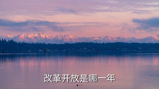改革開放是哪一年