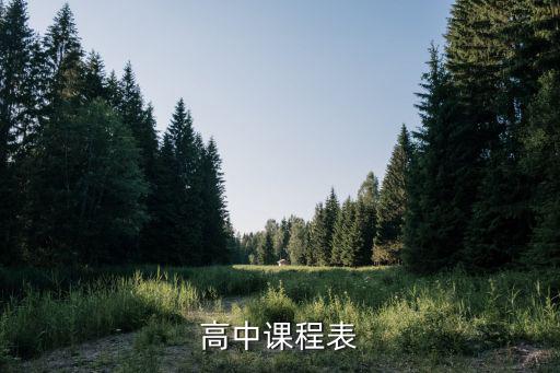 高中課程表，誰(shuí)有高中的課程表