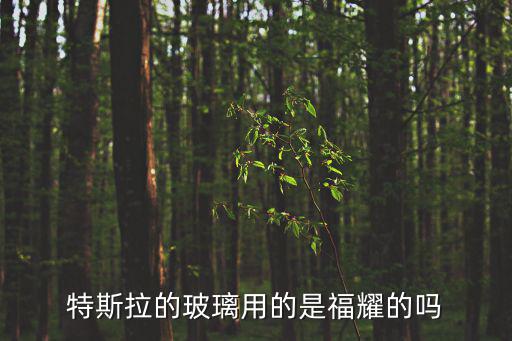 特斯拉的玻璃用的是福耀的嗎