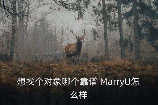 想找個對象哪個靠譜 MarryU怎么樣