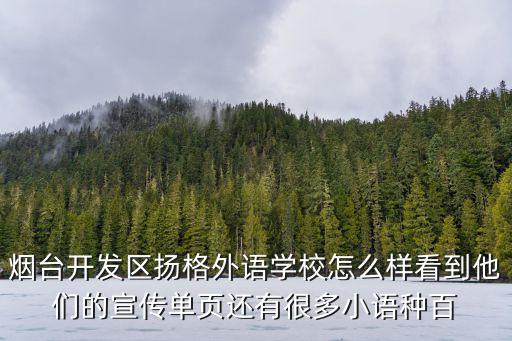 揚格外語學校，煙臺開發區揚格外語學校真的很有名氣嗎