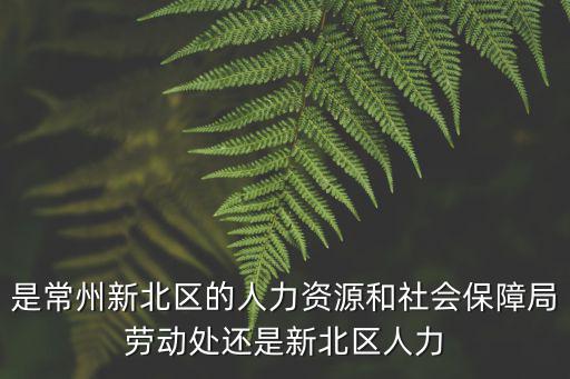 是常州新北區的人力資源和社會保障局勞動處還是新北區人力