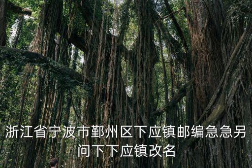 浙江省寧波市鄞州區下應鎮郵編急急另問下下應鎮改名
