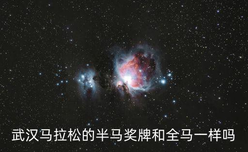 武漢馬拉松的半馬獎牌和全馬一樣嗎