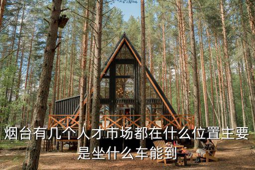 煙臺有幾個人才市場都在什么位置主要是坐什么車能到