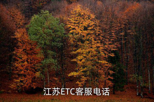 etc客服中心，高安市ETC服務中心在哪里