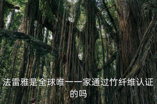 尚萊雅，現在比較出名的襪子有哪些品牌